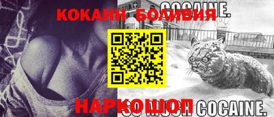 шишки Кандалакша