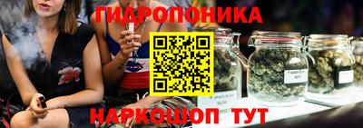 шишки Кандалакша