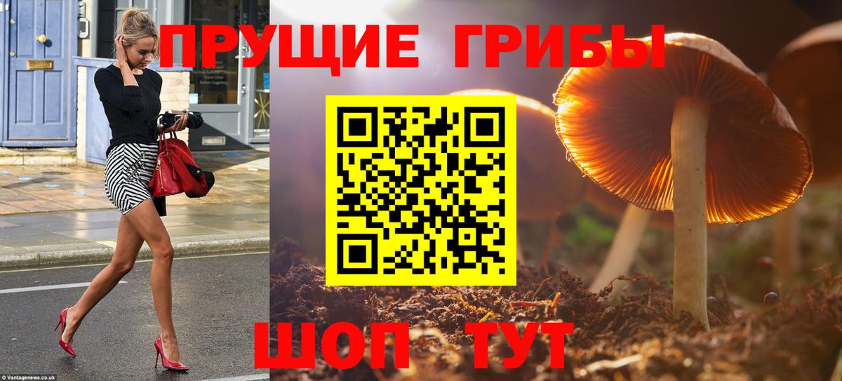 Галлюциногенные грибы Cubensis Кубинка