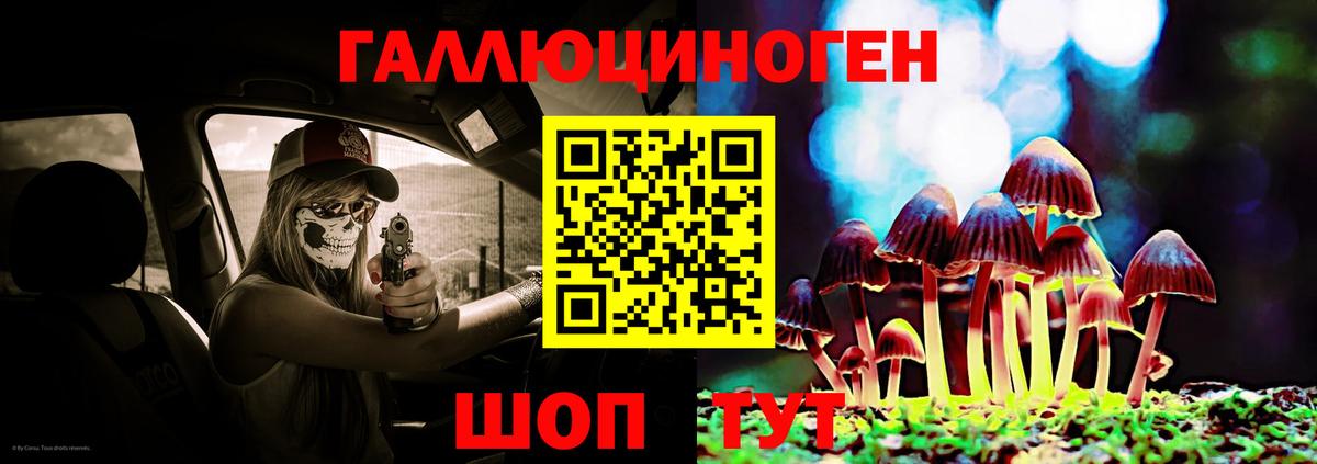 Кубинка  Галлюциногенные грибы Cubensis  Вход с VPN 
